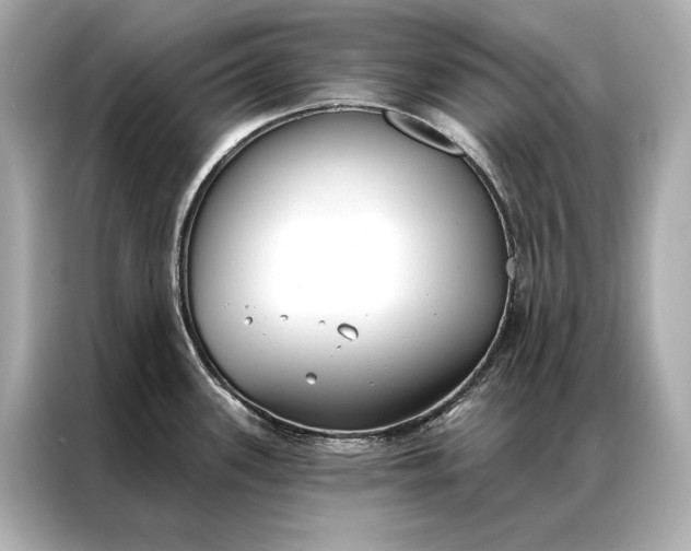 X0000086951339200704301210