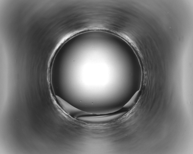 X0000086951342200704301210