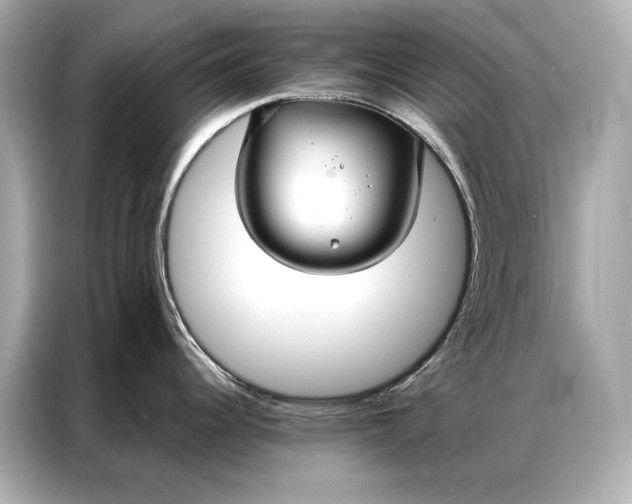 X0000086951344200704301210