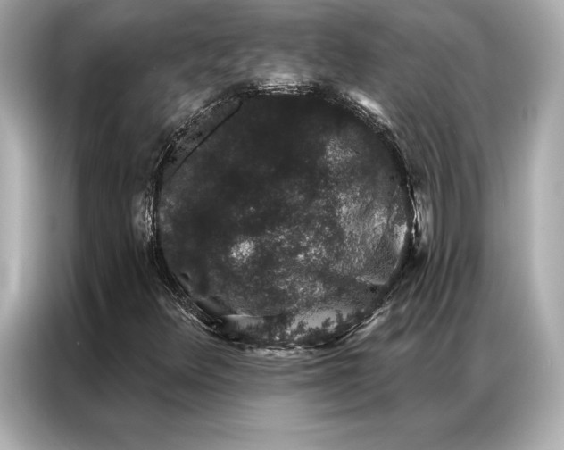 X0000086951348200704301209