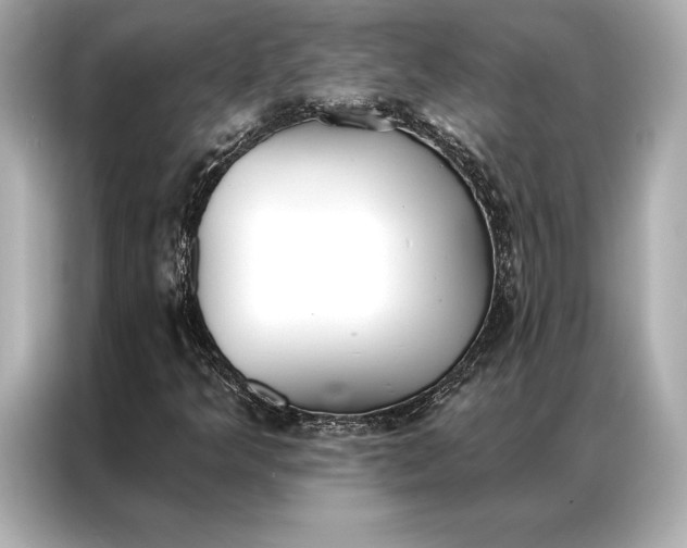 X0000086951349200704301209