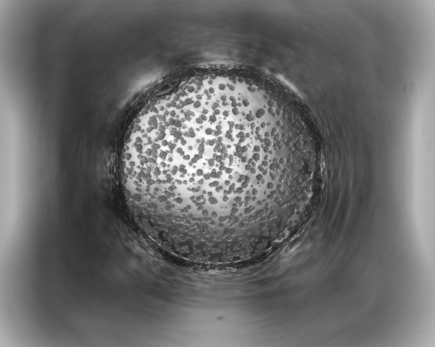 X0000086951351200704301209