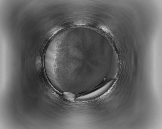 X0000086951353200704301209