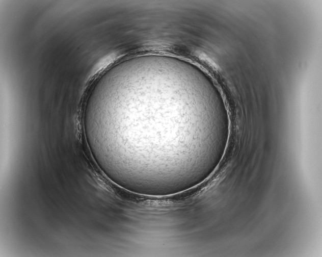 X0000086951354200704301209