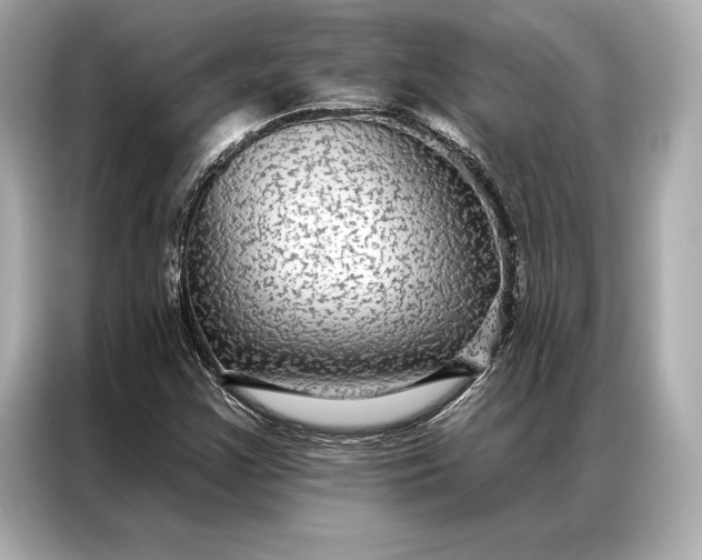 X0000086951355200704301209