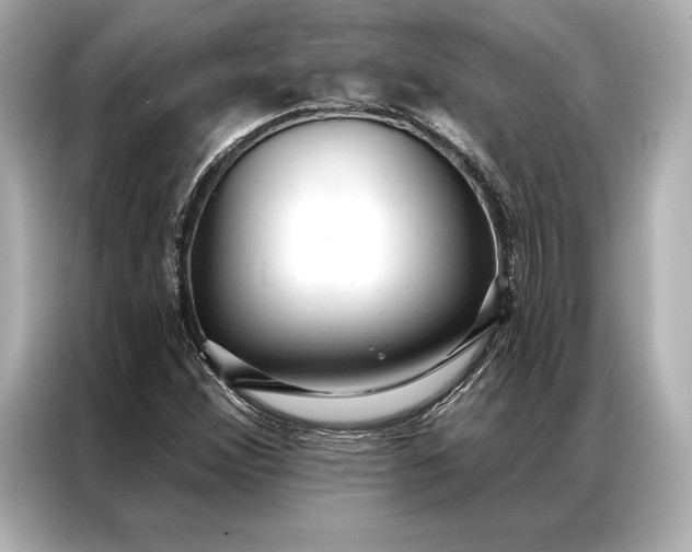 X0000086951356200704301209