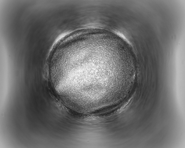 X0000086951358200704301209