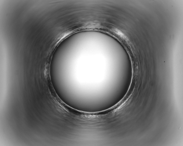 X0000086951361200704301209