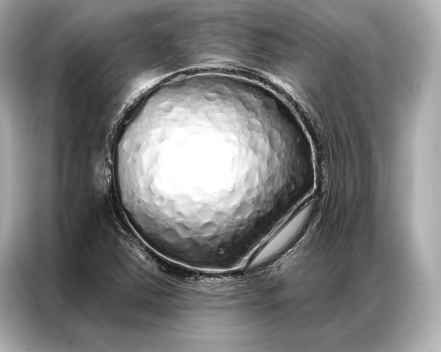 X0000086951363200704301209