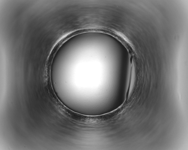 X0000086951364200704301209