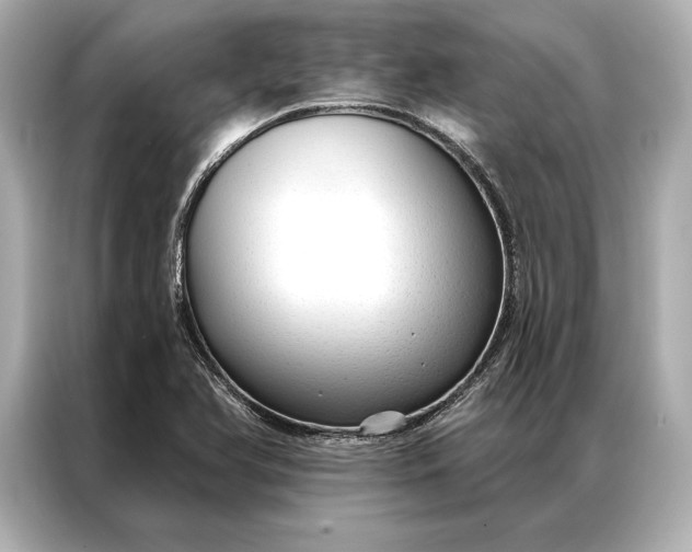 X0000086951366200704301209