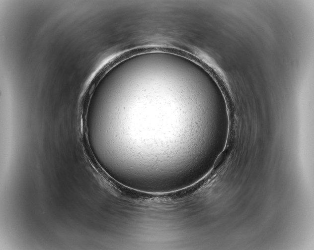 X0000086951368200704301209