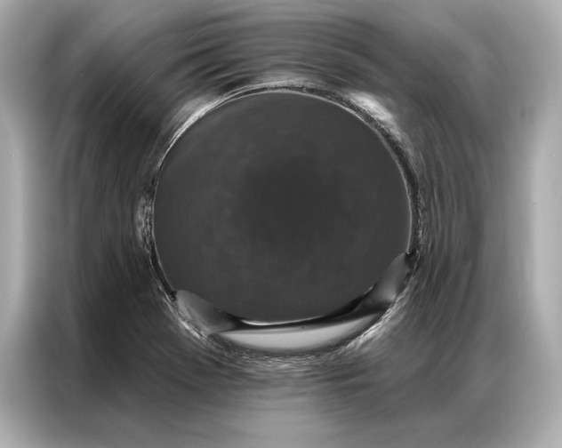 X0000086951369200704301209