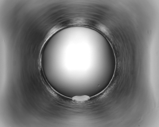 X0000086951370200704301209