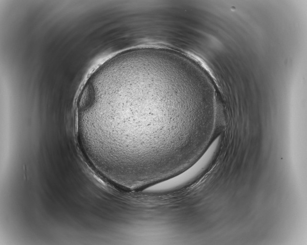 X0000086951371200704301209