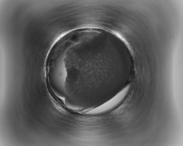 X0000086951372200704301209