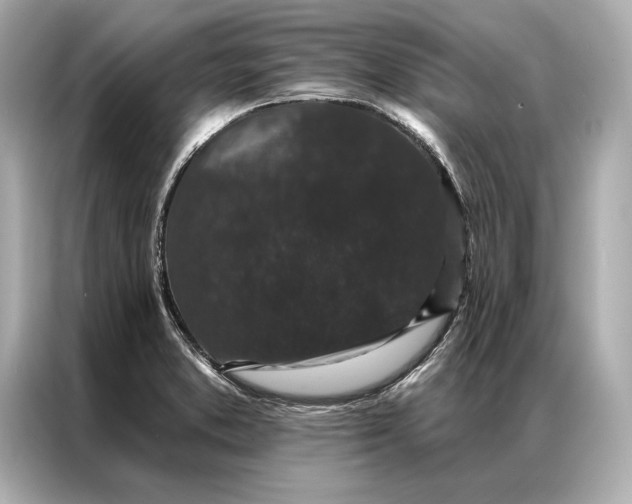 X0000086951373200704301209