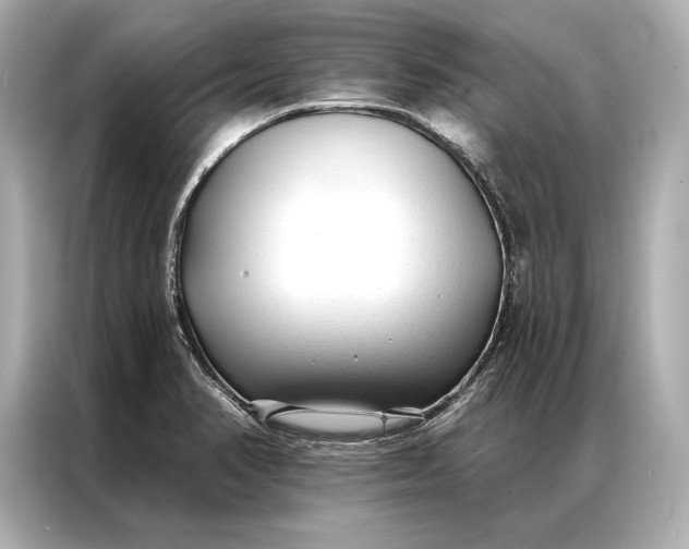 X0000086951374200704301209