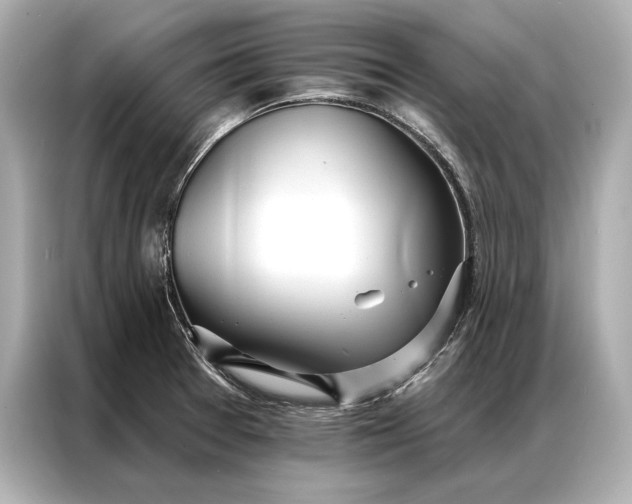 X0000086951377200704301209