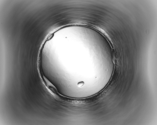 X0000086951379200704301209