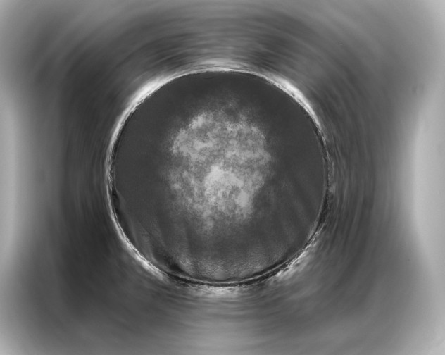 X0000086951381200704301209