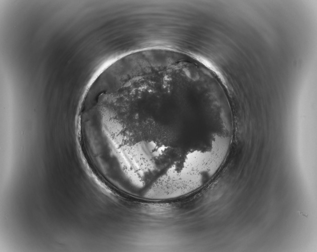 X0000086951383200704301209