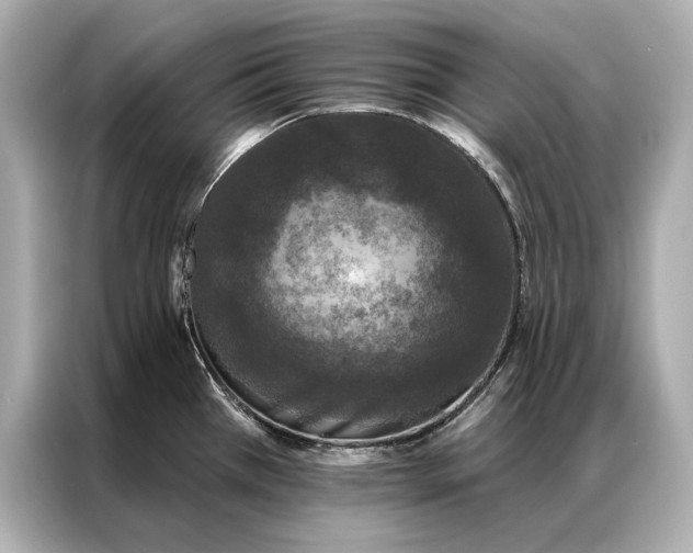 X0000086951385200704301209