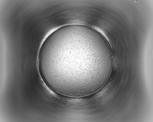 X0000086951387200704301209