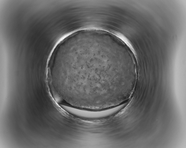 X0000086951388200704301209