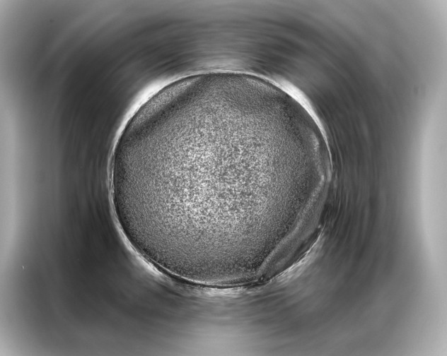 X0000086951389200704301209