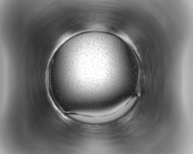 X0000086951391200704301209