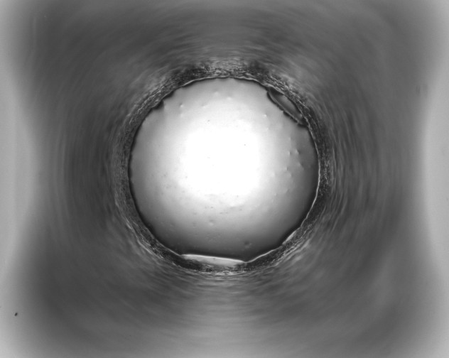 X0000086951393200704301208