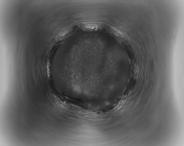 X0000086951394200704301208