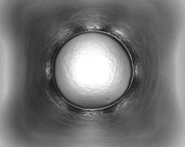 X0000086951396200704301208