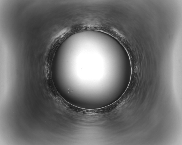 X0000086951398200704301208