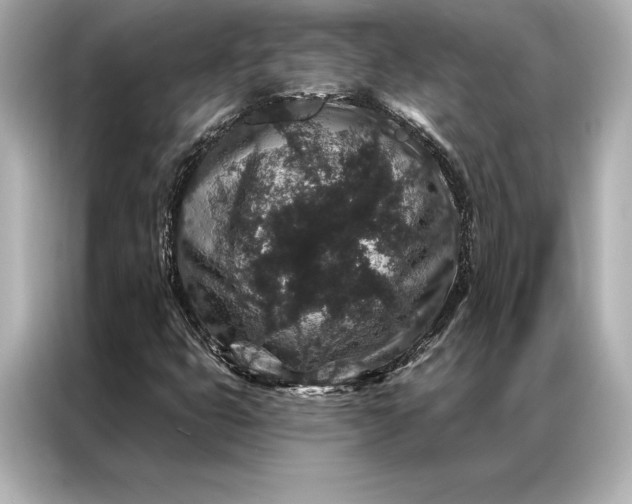 X0000086951399200704301208