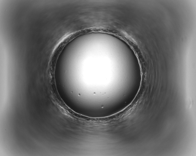 X0000086951400200704301208