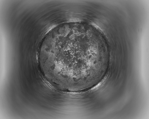 X0000086951401200704301208