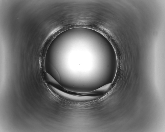 X0000086951402200704301208