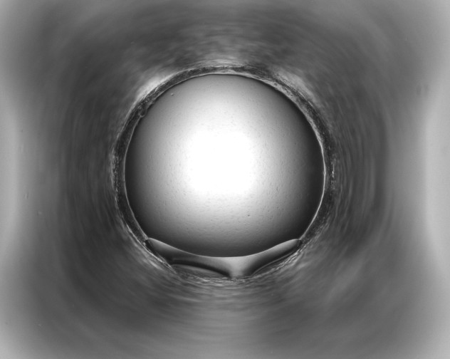 X0000086951404200704301208