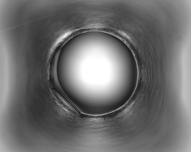 X0000086951406200704301208