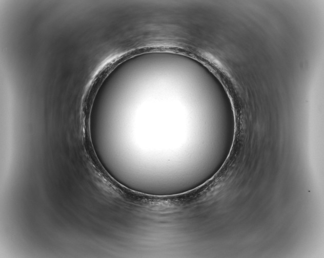 X0000086951408200704301208