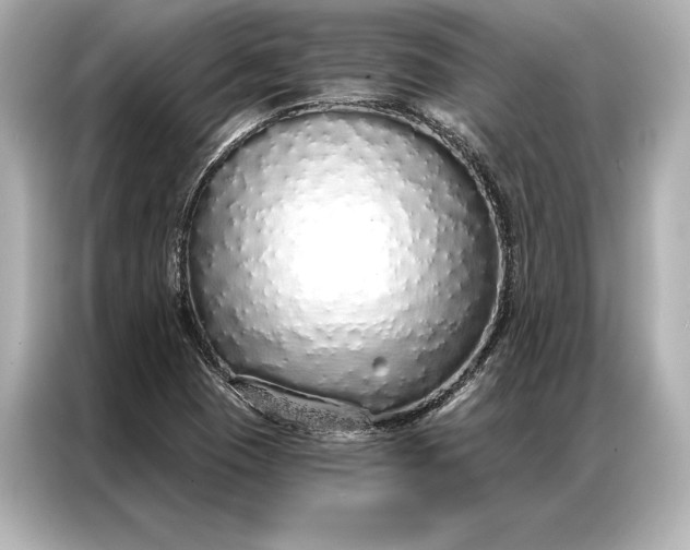 X0000086951409200704301208