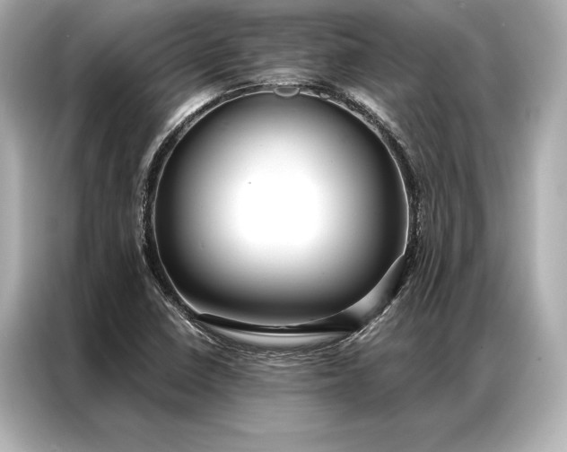 X0000086951410200704301208