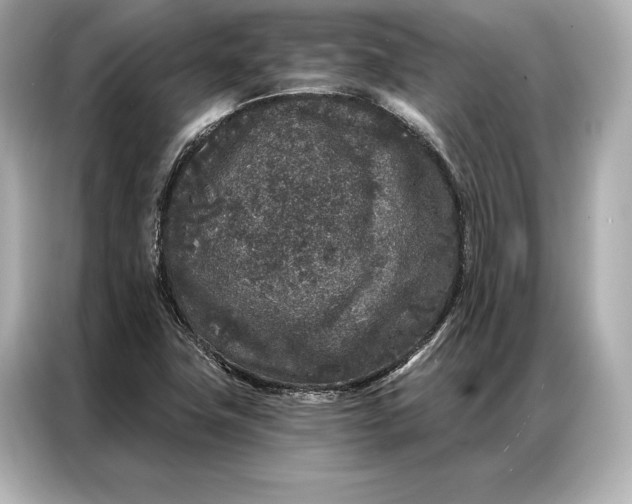 X0000086951411200704301208