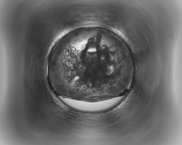 X0000086951413200704301208