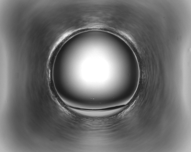 X0000086951414200704301208