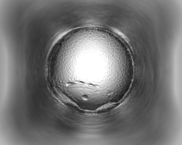 X0000086951415200704301208