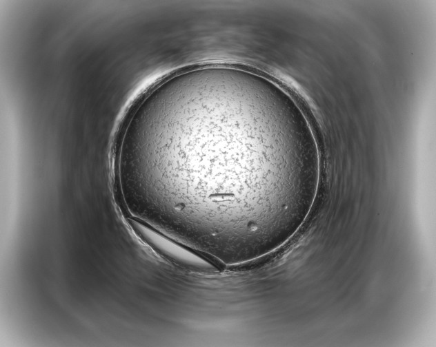 X0000086951416200704301208