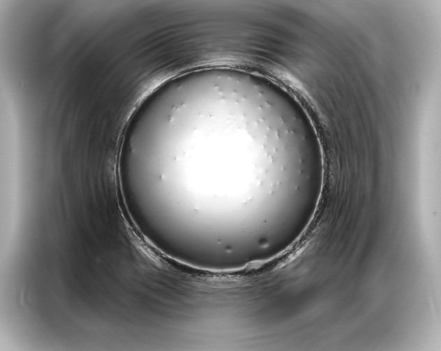 X0000086951417200704301208